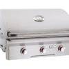 American Outdoor Grill 30" T Series Built-In Grill, No Rotisserie